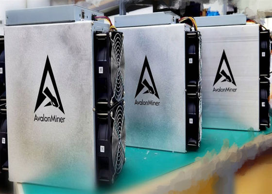 El favorable mineroo de 55TH/S Canaan Avalon 1066, 3300W utilizó al mineroo Crypto de la moneda de BTC