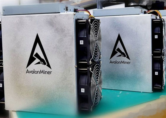 3420W utilizó al minero Machine Canaan Avalon de Bitcoin 1246 90TH/S SHA256d 12.8kg